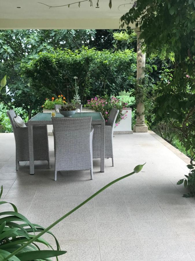 לינה וארוחת בוקר גימראייש Camelias מראה חיצוני תמונה